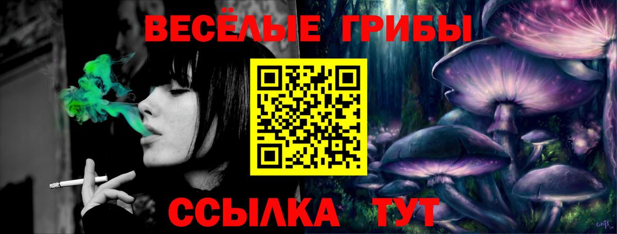 Галлюциногенные грибы MAGIC MUSHROOMS  Галлюциногенные грибы ЛСД  Вход с VPN  Елец 